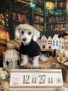 仙台ペット宿R with dogご宿泊頂きましたわんちゃんのご紹介