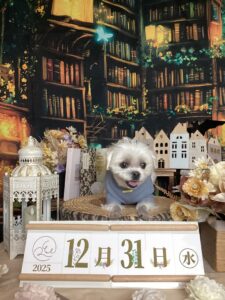 仙台ペット宿R with dogご宿泊頂きましたわんちゃんのご紹介