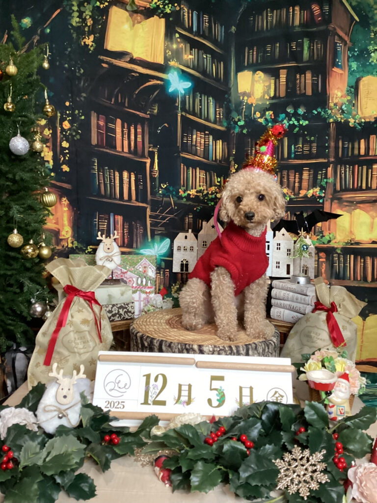 仙台ペット宿R with dogご宿泊わんちゃんのご紹介