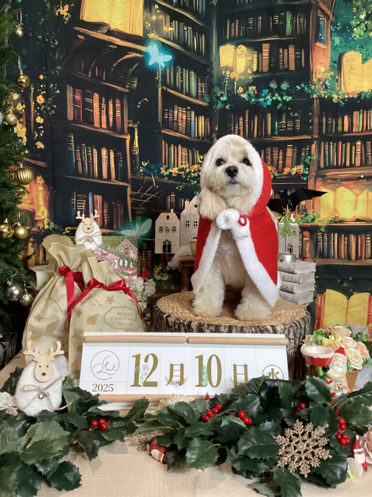 仙台ペット宿R with dogご宿泊頂きましたわんちゃんのご紹介