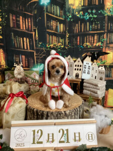 仙台ペット宿R with dogご宿泊わんちゃんのご紹介