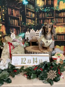 仙台ペット宿R with dogご宿泊頂きましたわんちゃんのご紹介