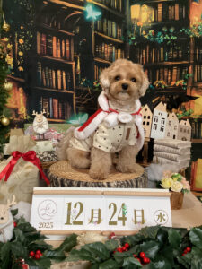 仙台ペット宿R with dogご宿泊頂きましたわんちゃんのご紹介