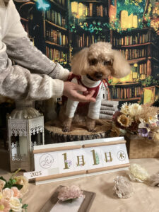 仙台ペット宿R with dogご宿泊頂きましたわんちゃんのご紹介