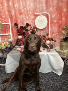 仙台ペット宿R with dogご宿泊頂きましたわんちゃんのご紹介