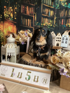 仙台ペット宿R with dogご宿泊頂きましたわんちゃんのご紹介