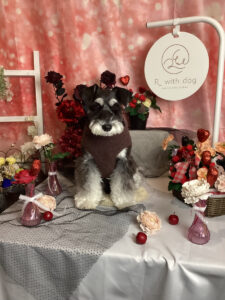 仙台ペット宿R with dogご宿泊頂きましたわんちゃんのご紹介