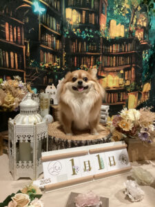 仙台ペット宿R with dogご宿泊頂きましたわんちゃんのご紹介