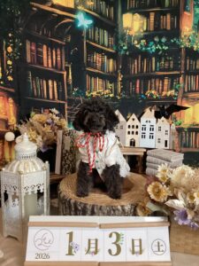 仙台ペット宿R with dogご宿泊頂きましたわんちゃんのご紹介