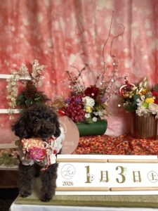 仙台ペット宿R with dogご宿泊頂きましたわんちゃんのご紹介