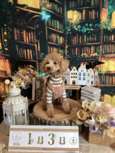 仙台ペット宿R with dogご宿泊頂きましたわんちゃんのご紹介