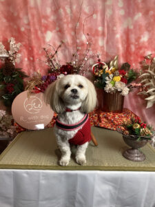 仙台ペット宿R with dogご宿泊頂きましたわんちゃんのご紹介