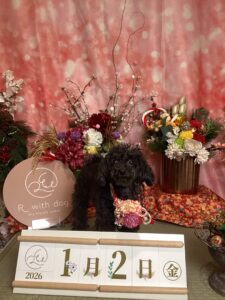 仙台ペット宿R with dogご宿泊頂きましたわんちゃんのご紹介