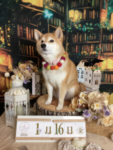 仙台ペット宿R with dogご宿泊頂きましたわんちゃんのご紹介