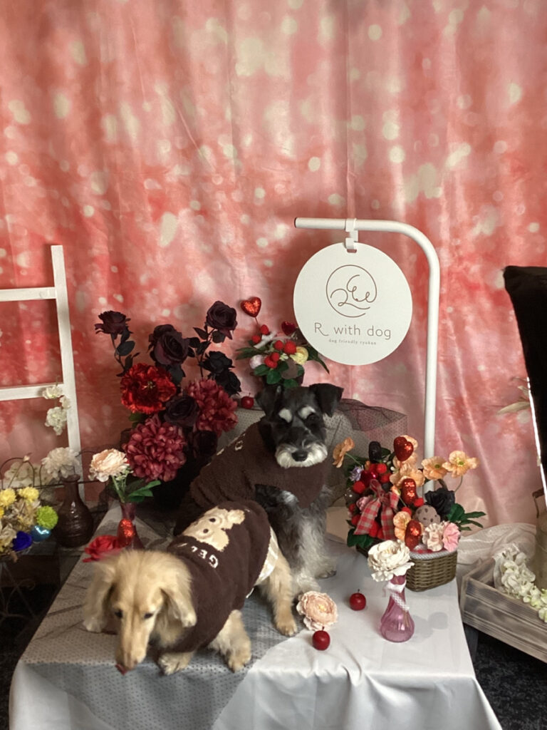 仙台ペット宿R with dogご宿泊頂きましたわんちゃんのご紹介