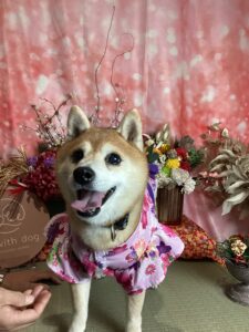 仙台ペット宿R with dogご宿泊頂きましたわんちゃんのご紹介