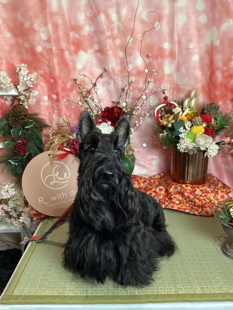 仙台ペット宿R with dogご宿泊頂きました紹介