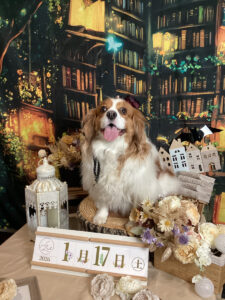 仙台ペット宿R with dogご宿泊頂きましたわんちゃんのご紹介