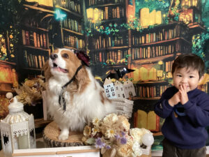 仙台ペット宿R with dogご宿泊頂きましたわんちゃんのご紹介