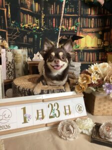 仙台ペット宿R with dogご宿泊頂きましたわんちゃんのご紹介