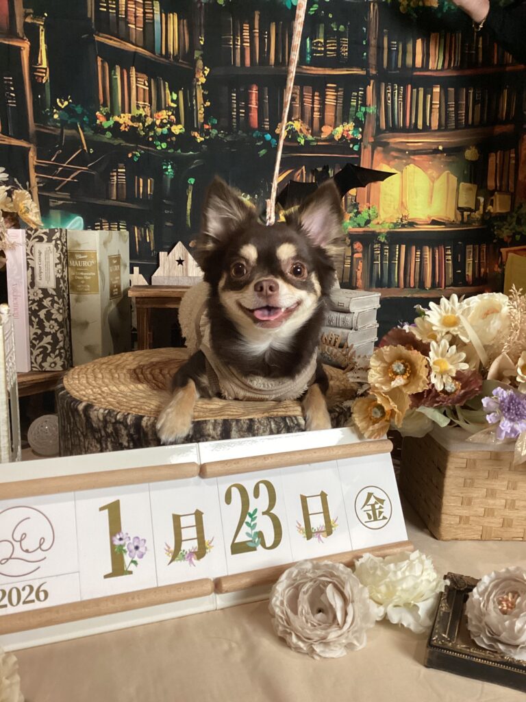 仙台ペット宿R with dogご宿泊頂きましたわんちゃんのご紹介