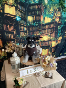 仙台ペット宿R with dogご宿泊頂きましたわんちゃんのご紹介