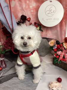 仙台ペット宿R with dogご宿泊頂きましたわんちゃんのご紹介