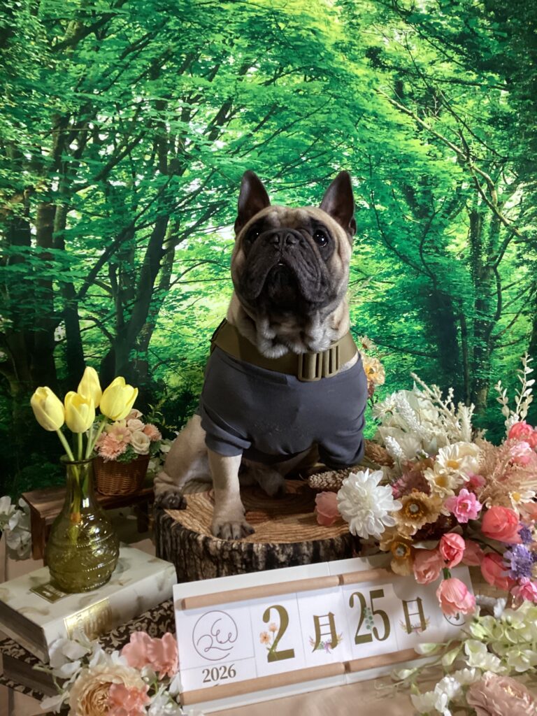 仙台ペット宿R with dogご宿泊頂きましわんちゃんのご紹介