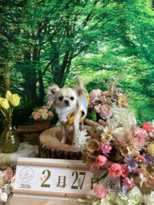 仙台ペット宿R with dogご宿泊頂きましたわんちゃんのご紹介