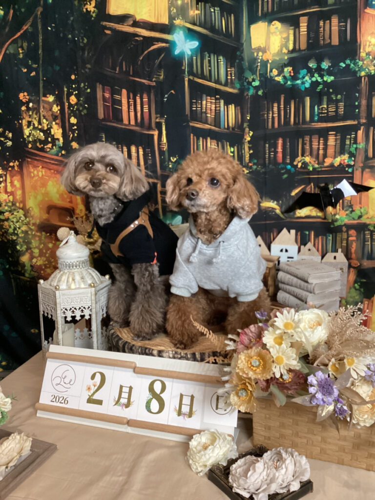 仙台ペット宿R with dogご宿泊頂きましたわんちゃんのご紹介