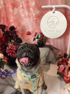 仙台ペット宿R with dogご宿泊頂きましたわんちゃんのご紹介