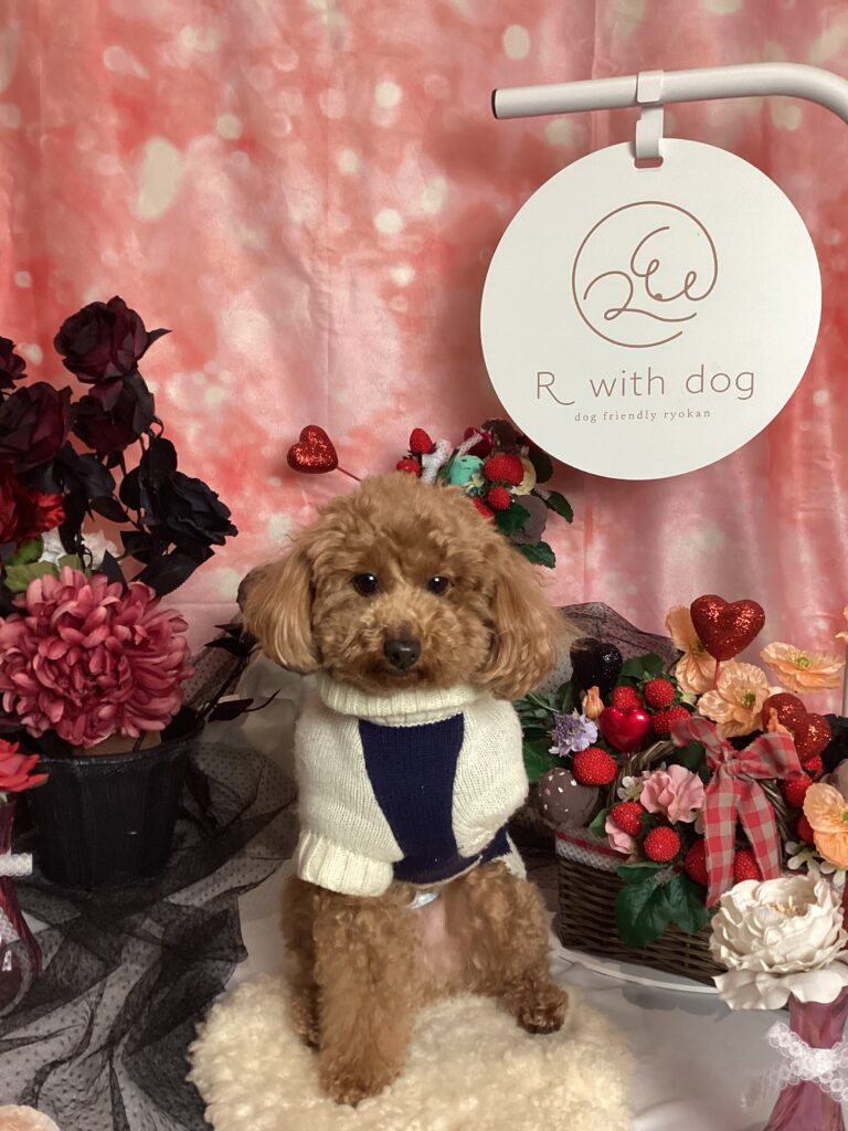 仙台ペット宿R with dogご宿泊頂きましたわんちゃんのご紹介