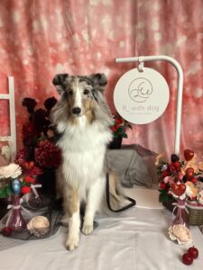 仙台ペット宿R with dogご宿泊頂きましたわんちゃんのご紹介