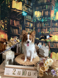 仙台ペット宿R with dogご宿泊頂きましたわんちゃんのご紹介