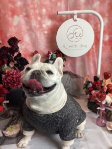 仙台ペット宿R with dogご宿泊頂きましたわんちゃんのご紹介