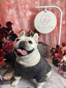 仙台ペット宿R with dogご宿泊頂きましたわんちゃんのご紹介