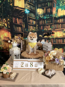 仙台ペット宿R with dogご宿泊頂きましたわんちゃんのご紹介