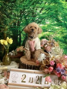 仙台ペット宿R with dogご宿泊頂きましたわんちゃんのご紹介