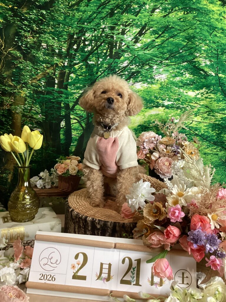 仙台ペット宿R with dogご宿泊頂きましたわんちゃんのご紹介