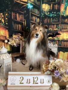 仙台ペット宿R with dogご宿泊頂きましたわんちゃんのご紹介