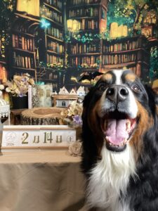 R with dogご宿泊頂きましたわんちゃんのご紹介