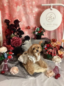 仙台ペット宿R with dogご宿泊頂きましたわんちゃんのご紹介