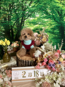 仙台ペット宿R with dogご宿泊頂きましたわんちゃんのご紹介