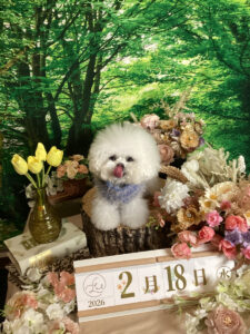 仙台ペット宿R with dogご宿泊頂きましたわんちゃんのご紹介