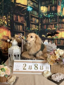 仙台ペット宿R with dogご宿泊頂きましたわんちゃんのご紹介