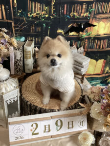 仙台ペット宿R with dogご宿泊頂きましたわんちゃんのご紹介