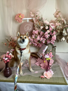 仙台ペット宿R with dogご宿泊頂きましたわんちゃんのご紹介