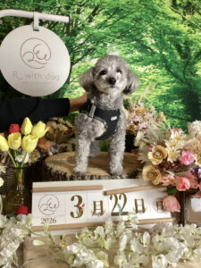 仙台ペット宿R with dogご宿泊頂きましたわんちゃんのご紹介