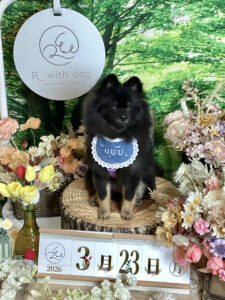 仙台ペット宿R with dogご宿泊頂きましたわんちゃんのご紹介