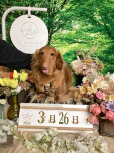 仙台ペット宿R with dogご宿泊頂きましわんちゃんのご紹介